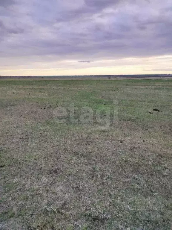 Участок в Саратовская область, Марксовский район, Зоркинское ... - Фото 2