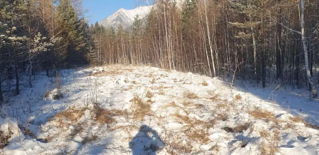 Участок в Бурятия, Тункинский район, пос. Аршан  (10.0 сот.) - Фото 1