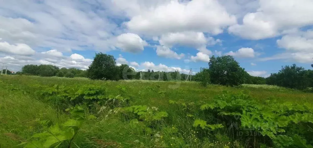 Участок в Ленинградская область, Ломоносовский район, Ропшинское ... - Фото 0