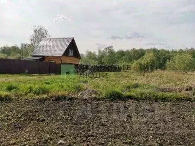 Участок в Красноярский край, Березовский район, Есаульский сельсовет, ... - Фото 0