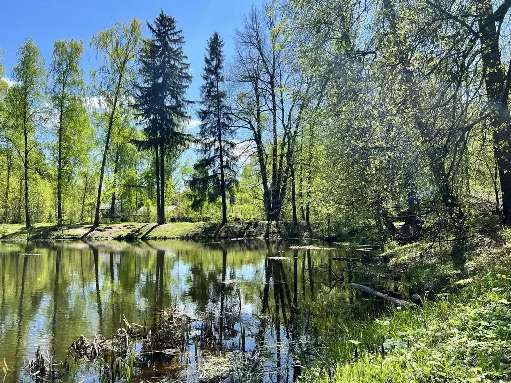 Участок в Московская область, Щелково городской округ, Загорянский пгт ... - Фото 2