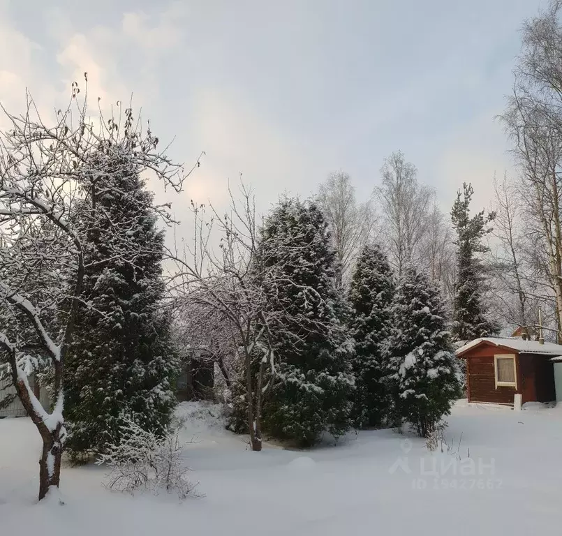 Снт Климовец Купить Дом