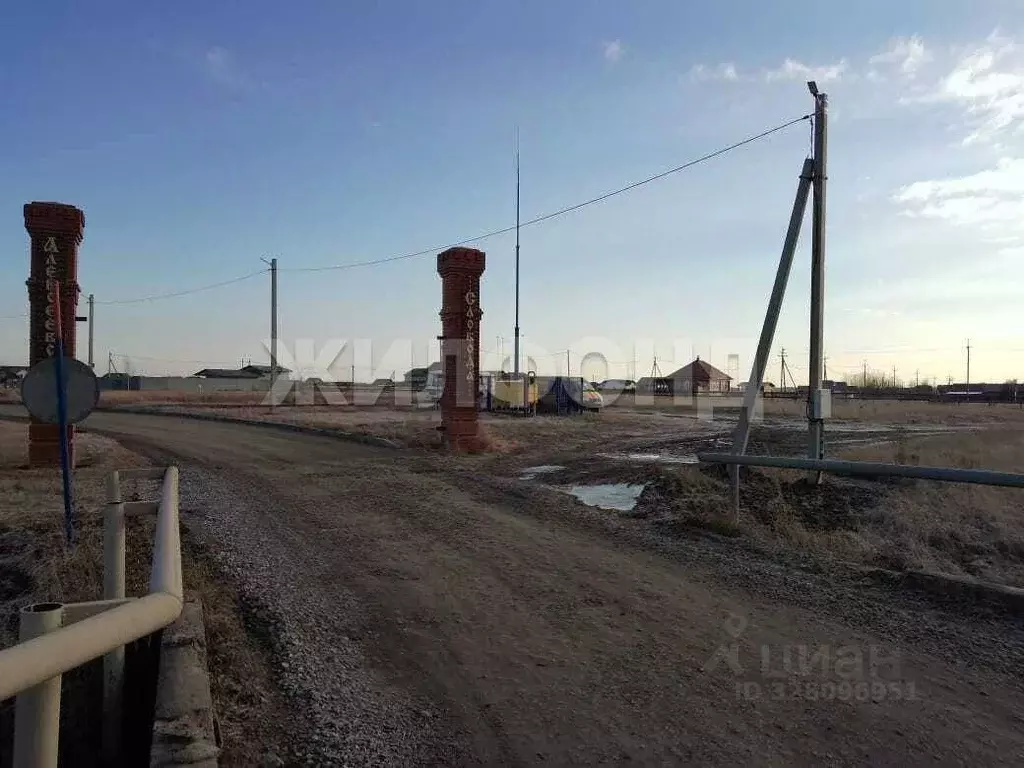 Участок в Новосибирская область, Новосибирский район, Толмачевский ... - Фото 1