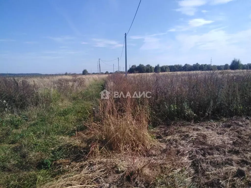 Участок в Калужская область, Малоярославецкий муниципальный округ, д. ... - Фото 2