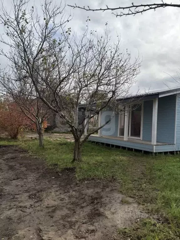 Дом в Калининградская область, Янтарный пгт, Садовник СНТ ул. Летняя, ... - Фото 2