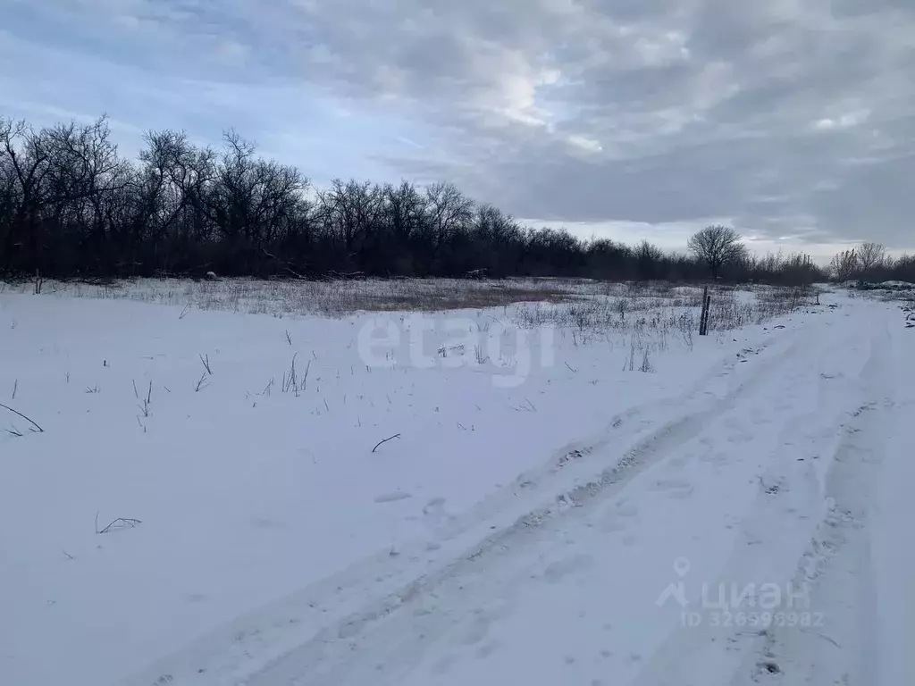 Участок в Ростовская область, Октябрьский район, пос. Персиановский, ... - Фото 2