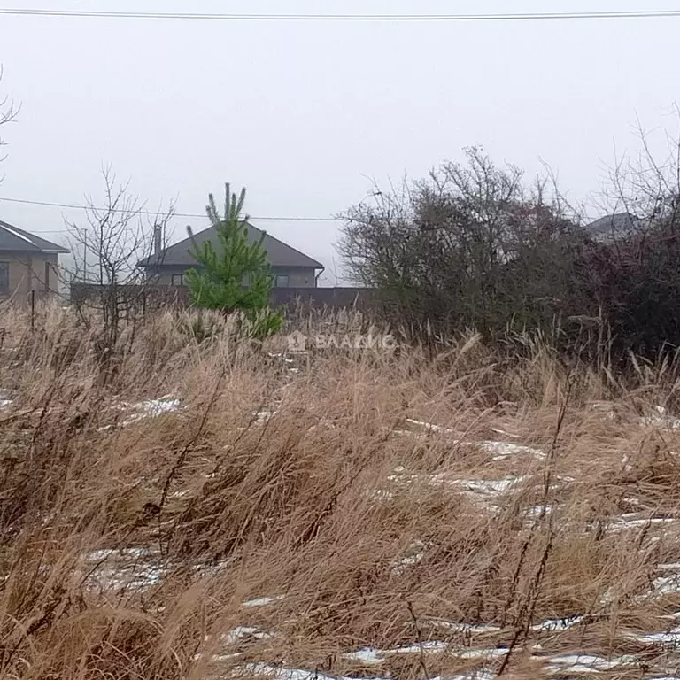 Участок в Московская область, Коломна городской округ, д. Щепотьево ... - Фото 2
