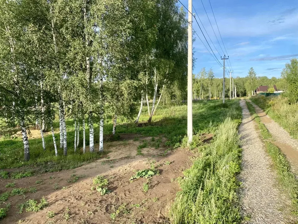 Участок в Владимирская область, Александровский район, Следневское ... - Фото 0