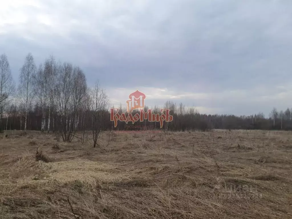 Участок в Московская область, Дмитровский муниципальный округ, д. ... - Фото 1