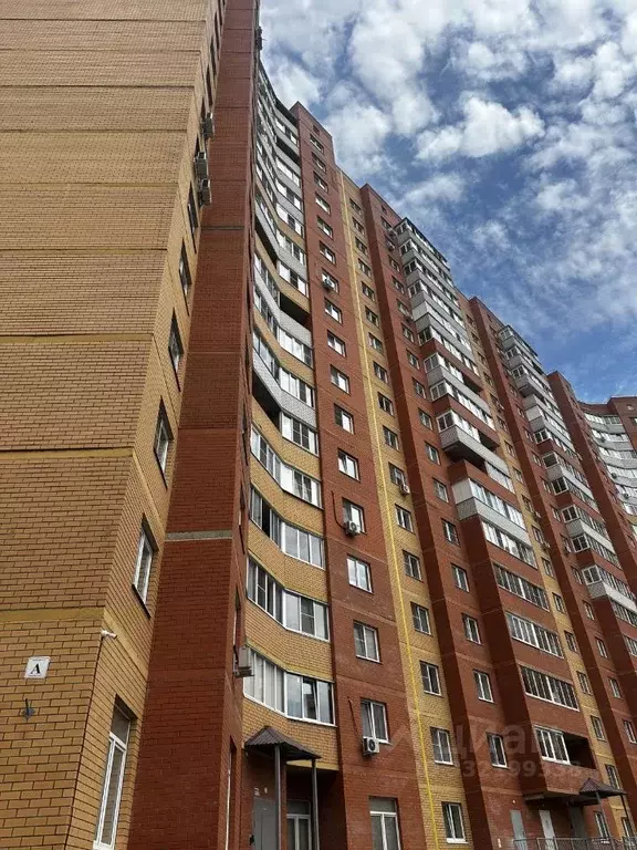 Студия Московская область, Дмитров Имени В.Н. Махалина мкр, 37 (34.2 ... - Фото 1