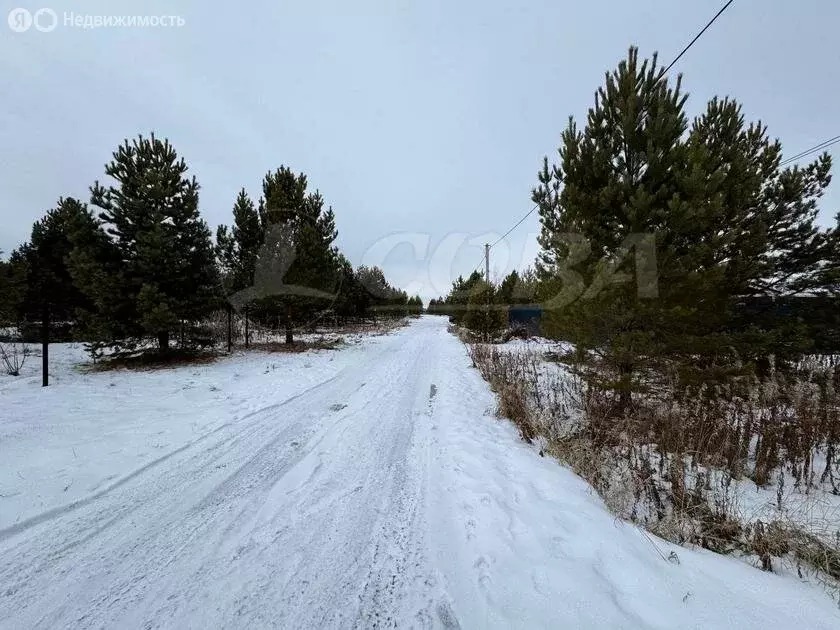 Участок в Тюменский район, деревня Елань (7.4 м) - Фото 1