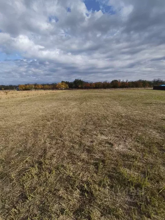 Участок в Краснодарский край, Ейский район, Должанская ст-ца ул. ... - Фото 2