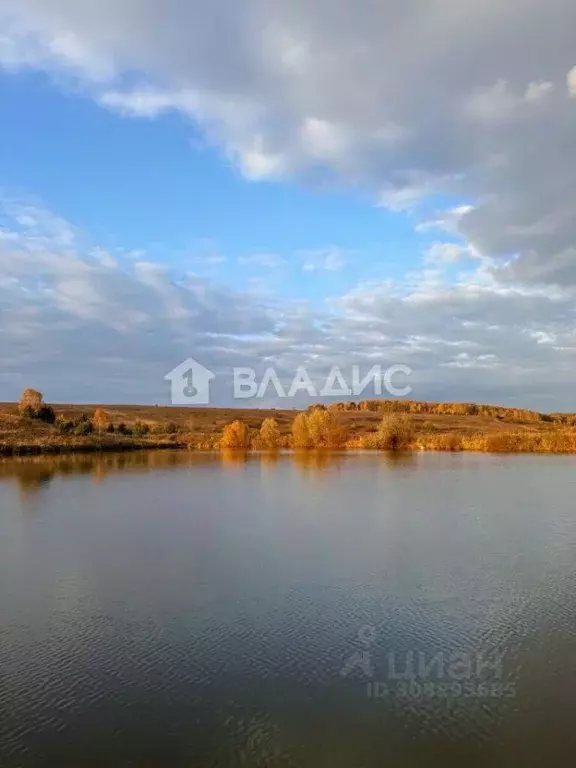 Участок в Нижегородская область, Дальнеконстантиновский муниципальный ... - Фото 0