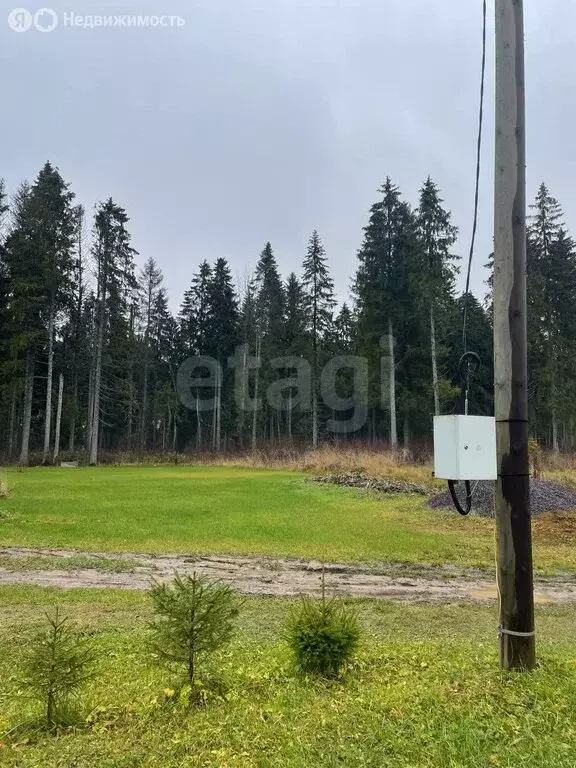 Участок в Ленинградская область, Гатчинский муниципальный округ, ... - Фото 2