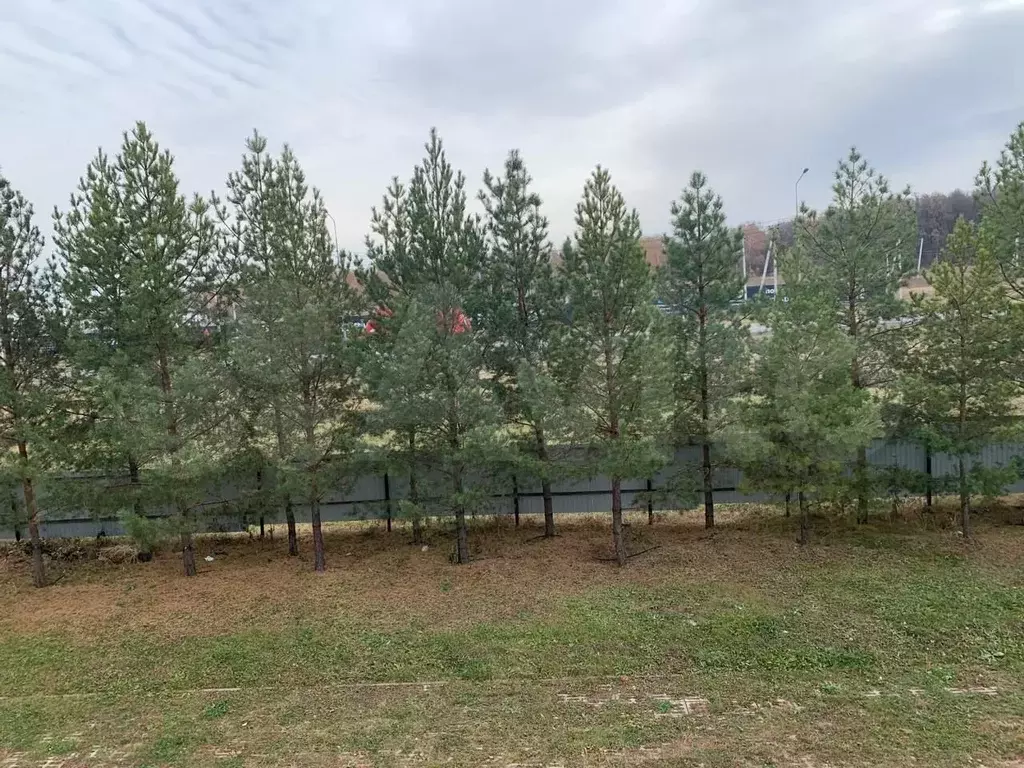 1-к. квартира, 33 м, 2/3 эт. - Фото 0