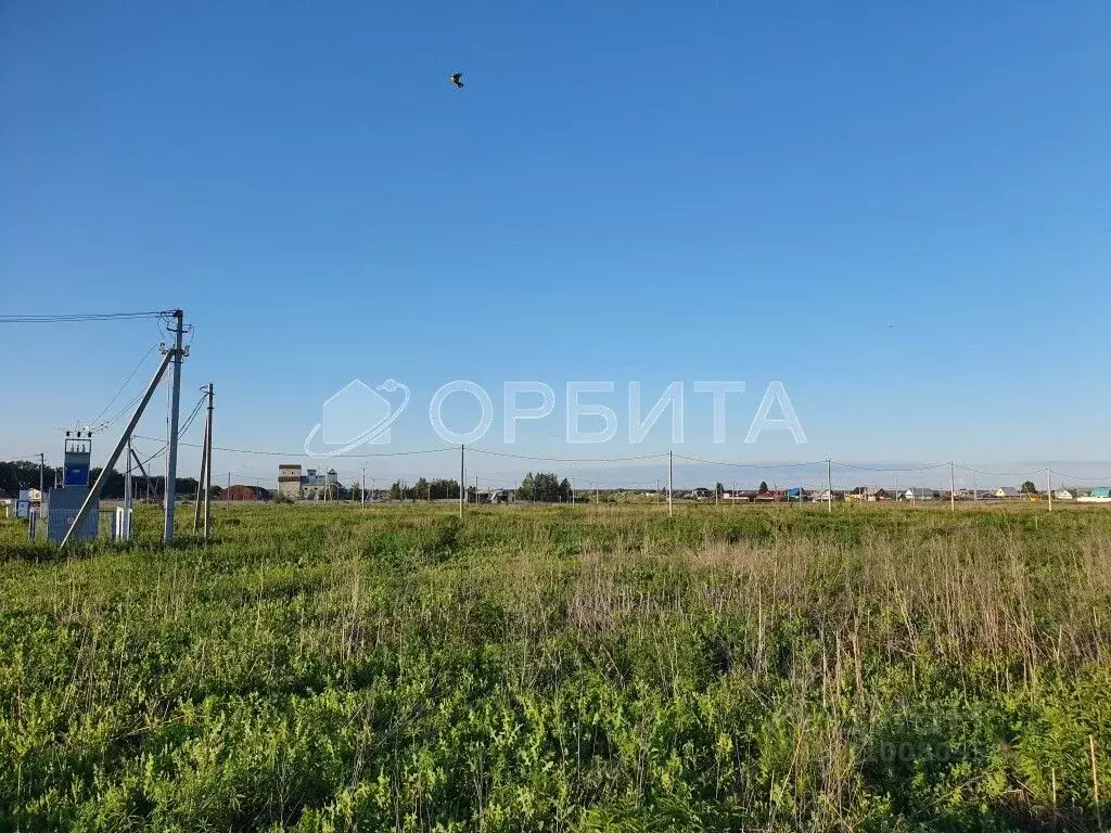 Участок в Тюменская область, Тюменский район Р-404, 23-й км (659.5 ... - Фото 1