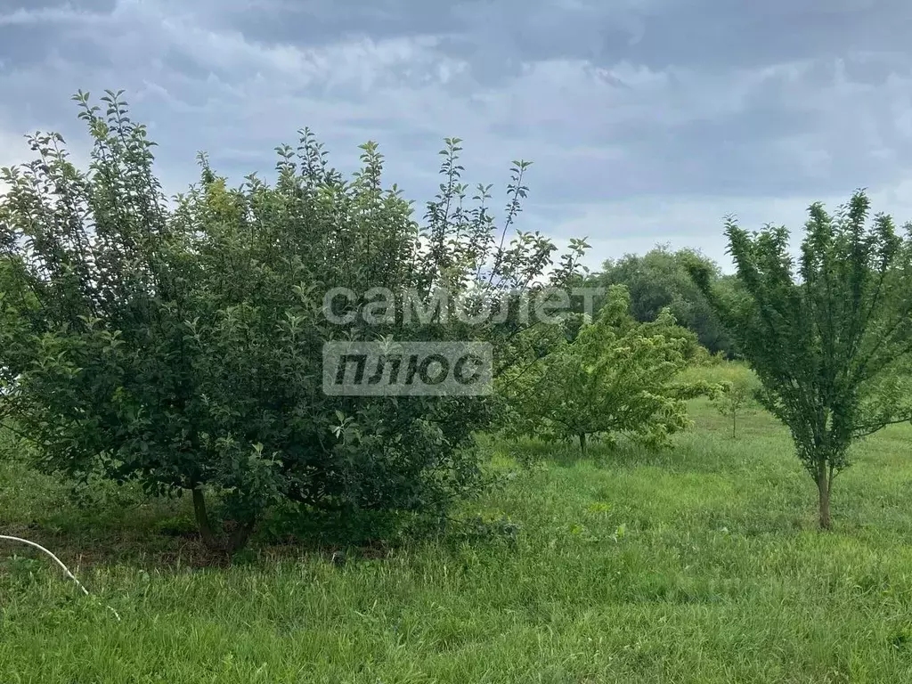Участок в Краснодарский край, Анапа муниципальный округ, Гостагаевская ... - Фото 0