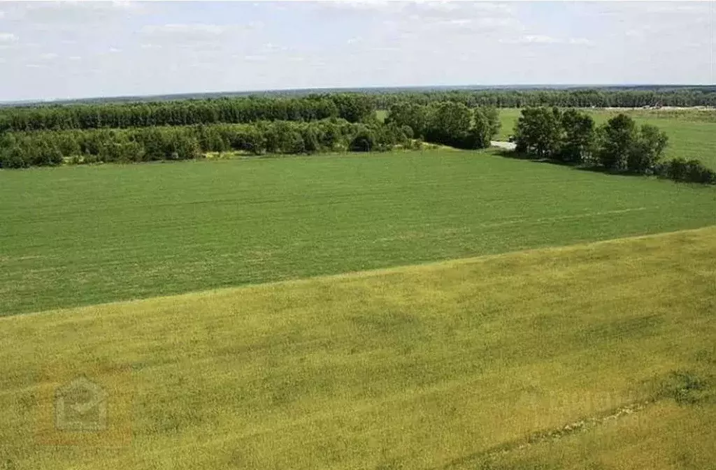 Участок в Крым, Ленинский район, с. Луговое  (794.0 сот.) - Фото 1