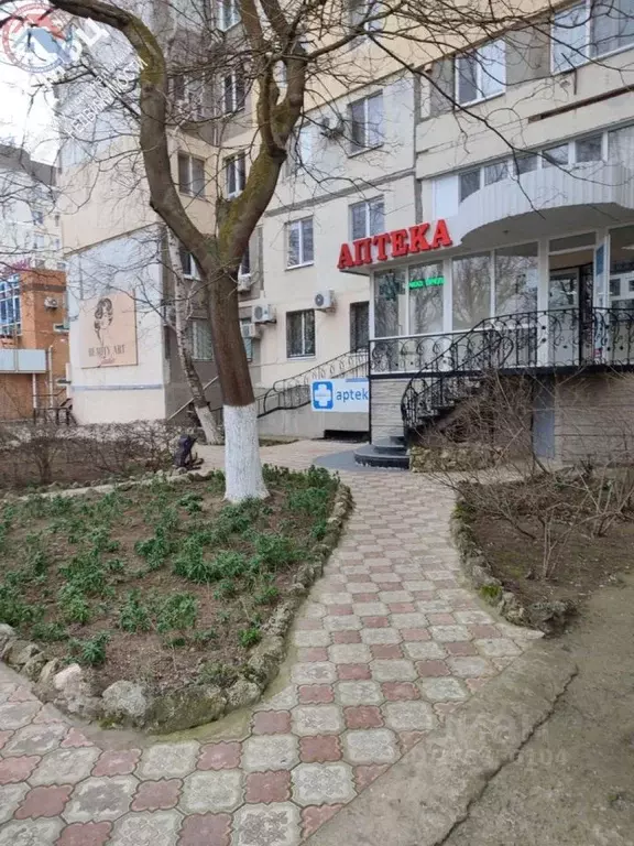 Торговая площадь в Крым, Щелкино Ленинский район, 2-й мкр, 54 (30 м) - Фото 0