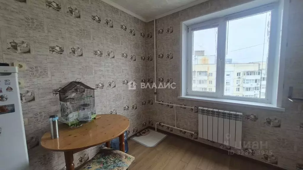 1-к кв. Белгородская область, Белгород Молодежная ул., 16 (33.5 м) - Фото 2