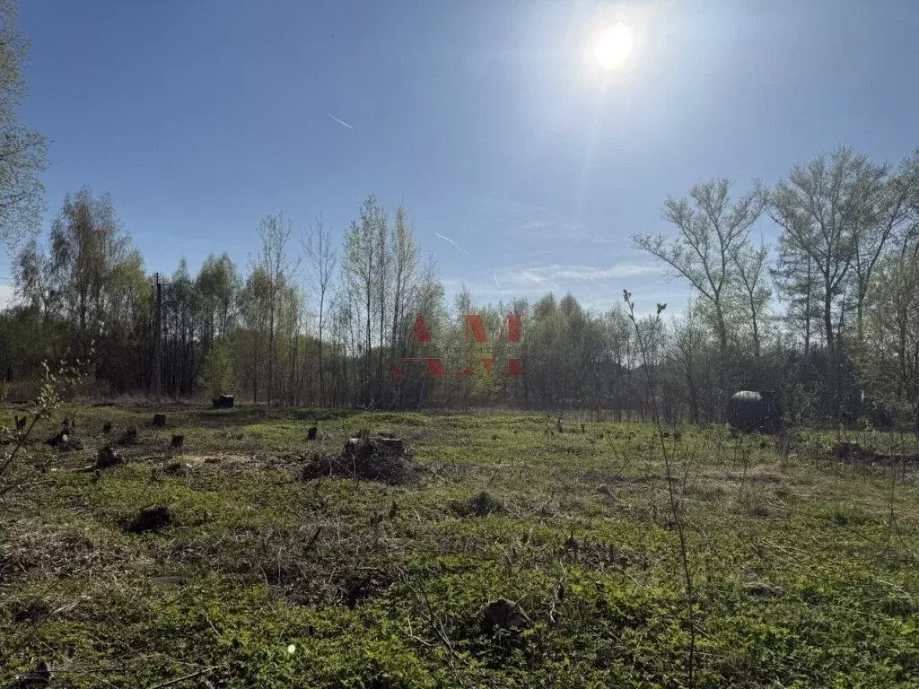 Участок в Владимирская область, Суздальский район, Павловское ... - Фото 1