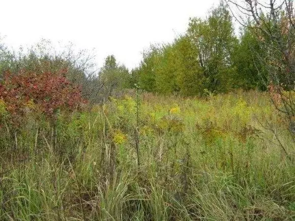 Участок в Дубна, Черничная улица (5 м) - Фото 2