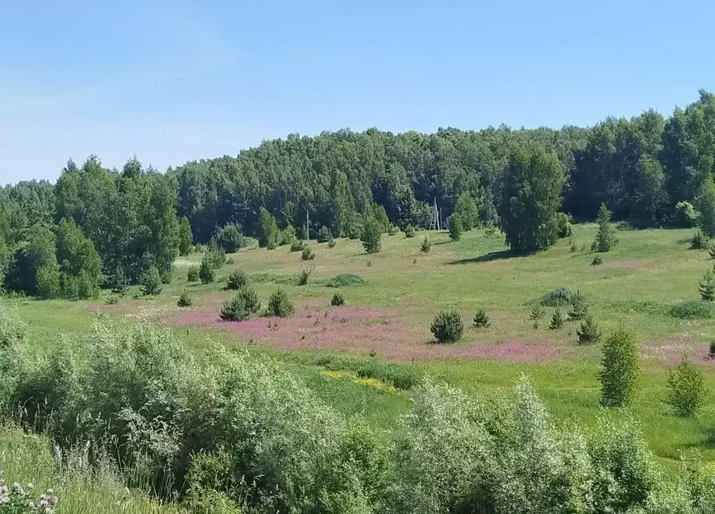 Участок в Калужская область, Калуга городской округ, д. Желыбино ул. ... - Фото 1