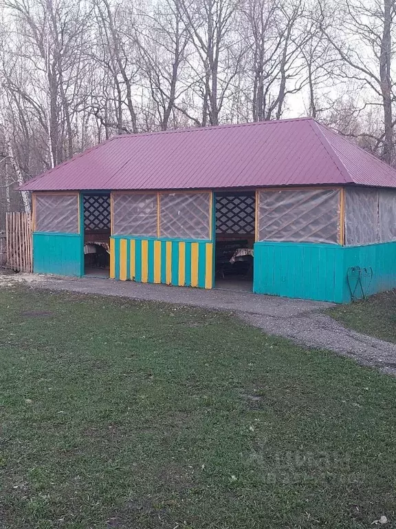 Помещение свободного назначения в Саратовская область, Петровск ул. ... - Фото 2