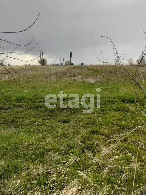 Участок в Калужская область, Бабынинский район, Утешево с/пос, с. ... - Фото 2