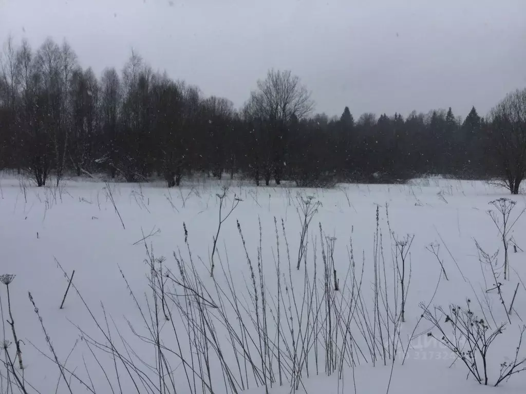 Участок в Московская область, Сергиево-Посадский городской округ, с. ... - Фото 1