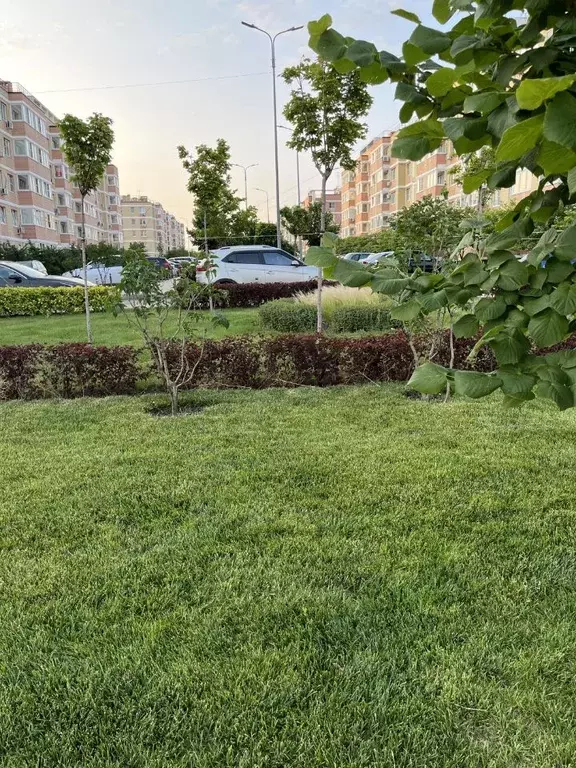 Студия Ростовская область, Ростов-на-Дону 1-я Ковровая ул., 67/1 (25.0 ... - Фото 0