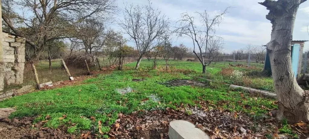 Дом в Краснодарский край, Крымск Зеленая ул., 36 (64 м) - Фото 1