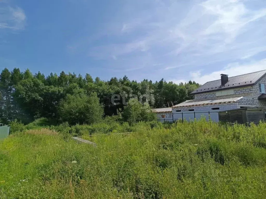 Участок в Нижегородская область, Богородский муниципальный округ, д. ... - Фото 1