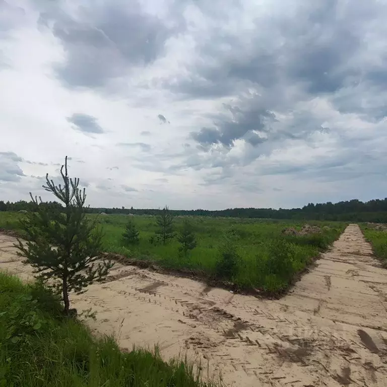 Участок в Ивановская область, Ивановский район, Куликовское с/пос, д. ... - Фото 1