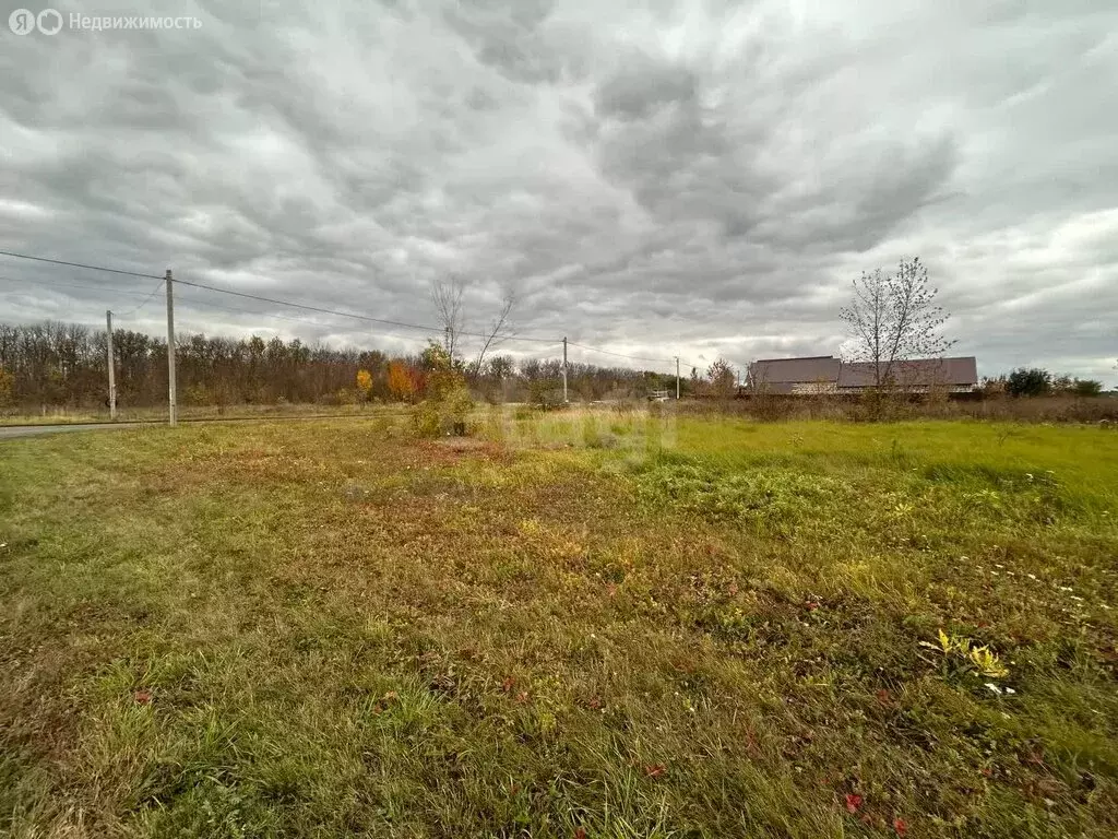 Участок в Прохоровский район, Призначенское сельское поселение, село ... - Фото 2
