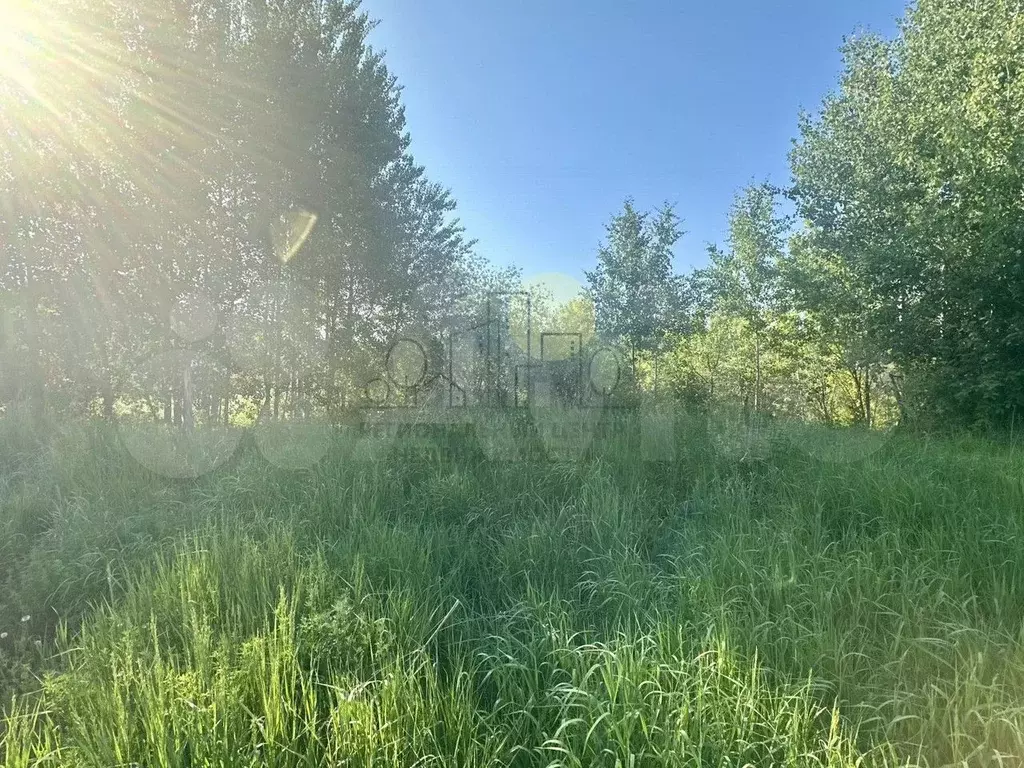 Участок 5 сот. (СНТ, ДНП) - Фото 1