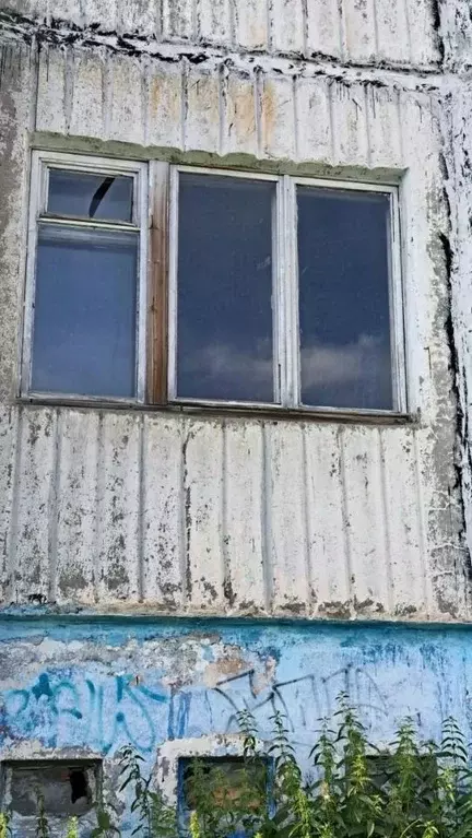 Помещение свободного назначения в Мурманская область, Полярный ул. ... - Фото 1