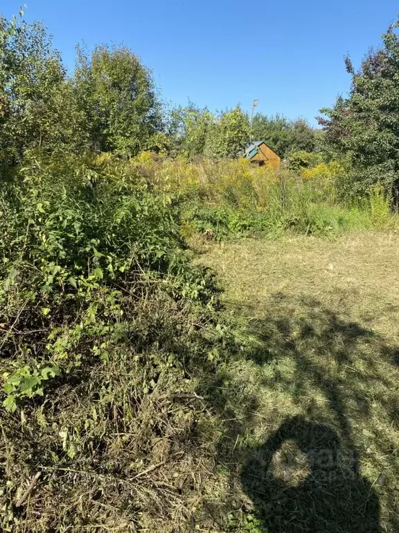 Участок в Нижегородская область, Городецкий муниципальный округ, с. ... - Фото 0