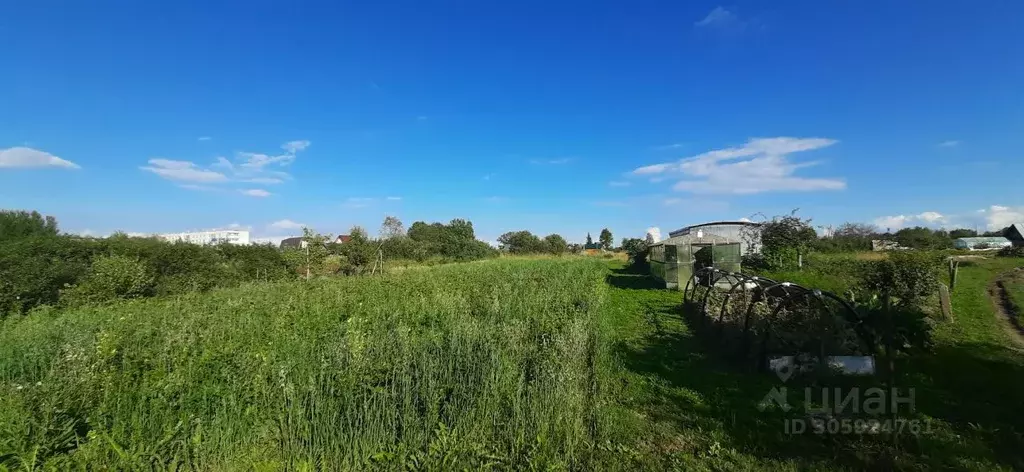 Участок в Новгородская область, Новгородский район, Борковское с/пос, ... - Фото 0