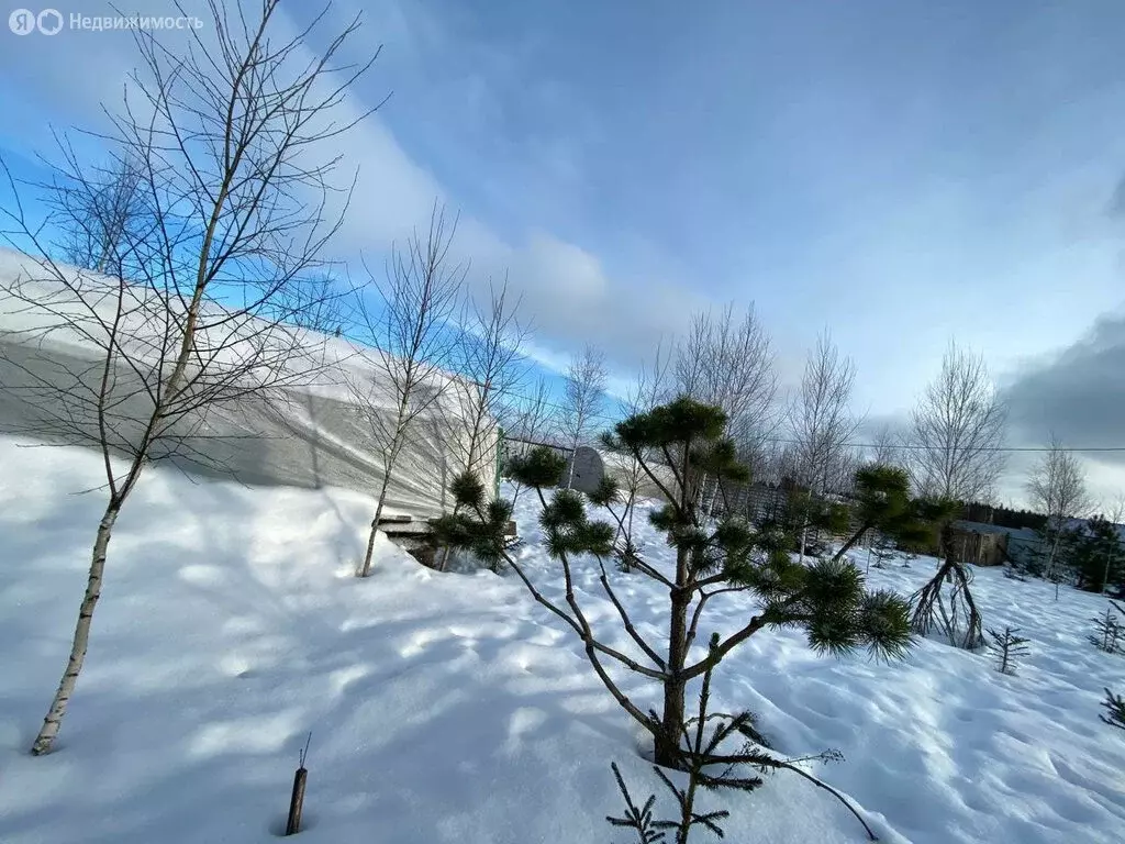 Дом в Калужская область, Боровский муниципальный округ, деревня Юрково ... - Фото 1