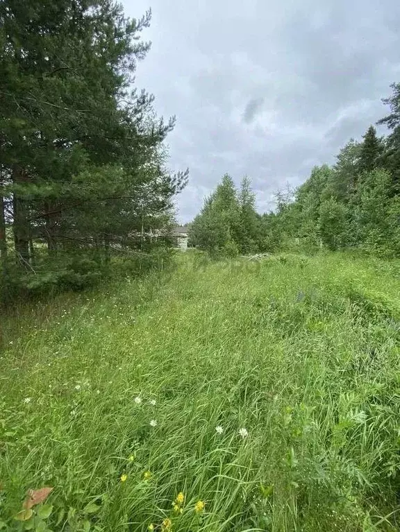 Участок в Кировская область, Киров ул. Центральная (16.7 сот.) - Фото 1