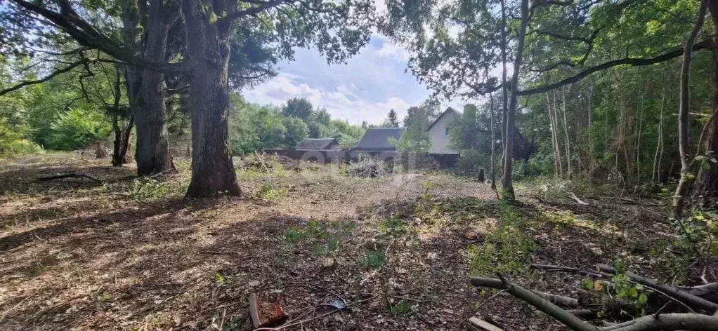 Участок в Калининградская область, Калининград ул. Державина (9.7 ... - Фото 2