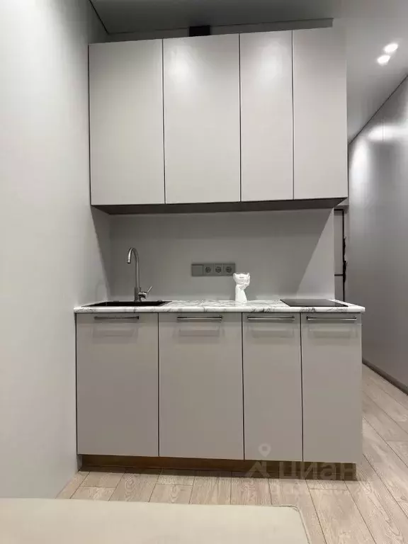 Студия Московская область, Одинцовский городской округ, Новоивановское ... - Фото 2