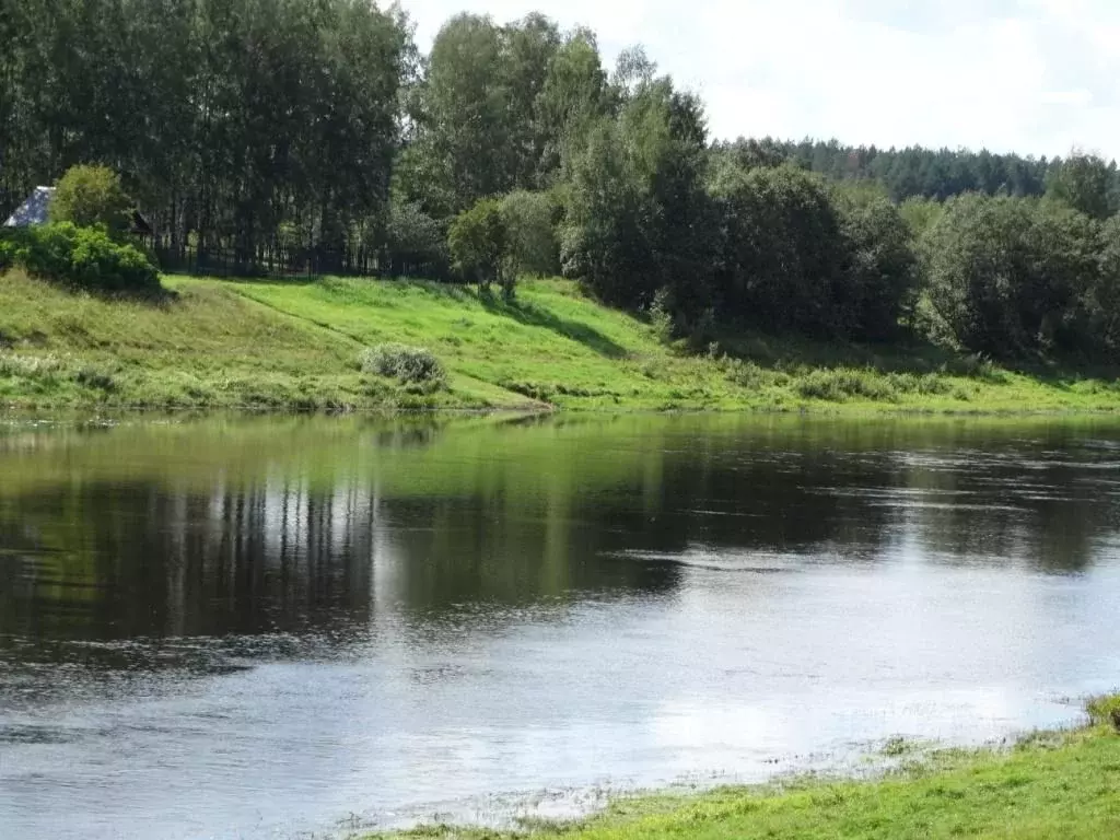 Дом в Тверская область, Старицкий район, д. Дубровино  (250 м) - Фото 1