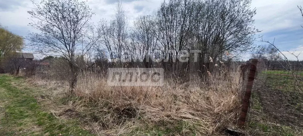 Участок 10 сот. (СНТ, ДНП) - Фото 1