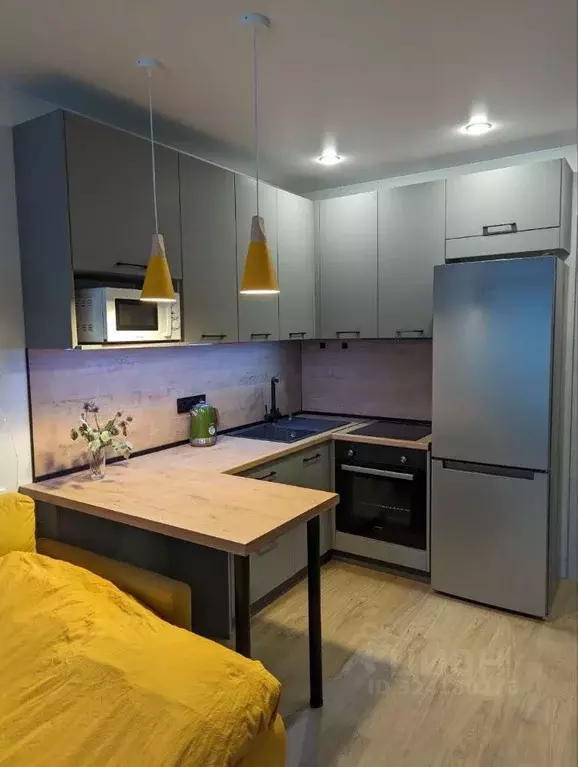 Студия Московская область, Красногорск городской округ, д. Глухово ул. ... - Фото 2