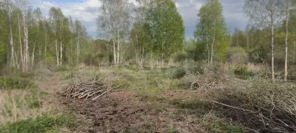Участок 20 сот. (СНТ, ДНП) - Фото 0