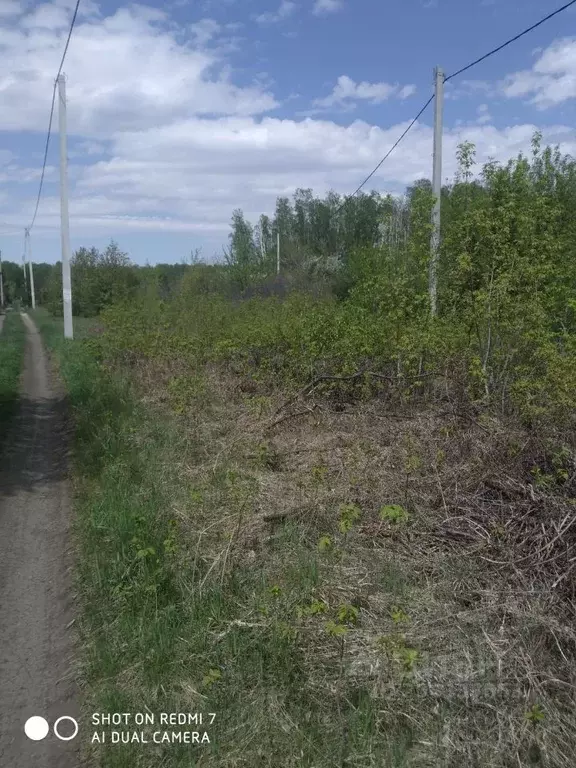 Участок в Омская область, Омск Ветеран СНТ,  (8.0 сот.) - Фото 0