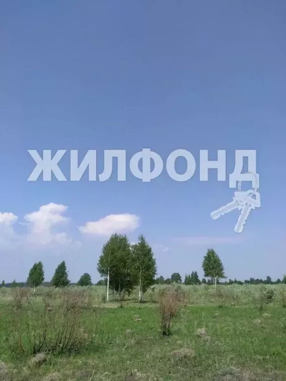 Участок в Новосибирская область, Новосибирский район, Кудряшовский ... - Фото 0