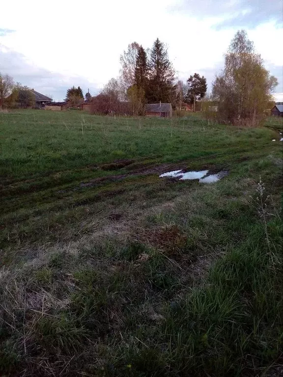 Участок в Вологодский муниципальный округ, деревня Озерково ... - Фото 1